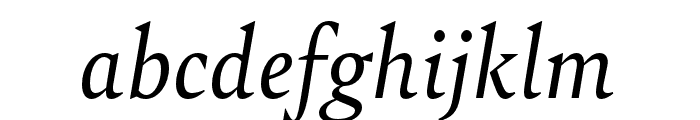Bely Italic Font LOWERCASE