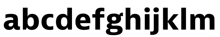 Bernina Sans Condensed Bold Font LOWERCASE