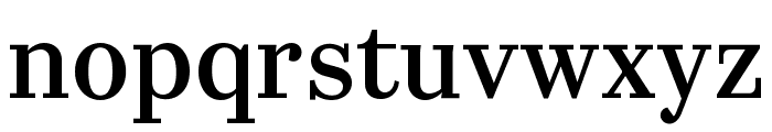 Bettoni VF Regular Dark Font LOWERCASE