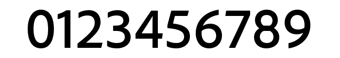 Bitcount Grid Single Regular Line Circle Font OTHER CHARS