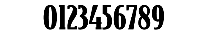 Bodega Serif Black Font OTHER CHARS