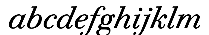 Bodoni PT VF Italic Font LOWERCASE