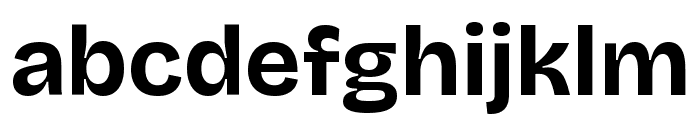 Bricolage Grotesque 24pt Bold Font LOWERCASE