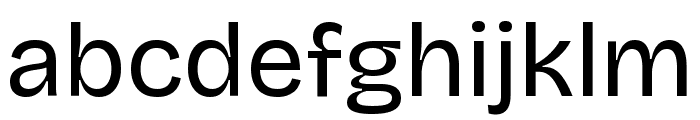 Bricolage Grotesque 24pt Regular Font LOWERCASE