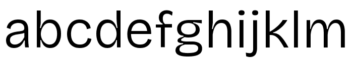 Bricolage Grotesque Light Font LOWERCASE