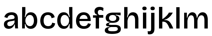 Bricolage Grotesque Medium Font LOWERCASE