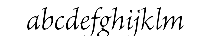 Brioso Pro Light Italic Subhead Font LOWERCASE