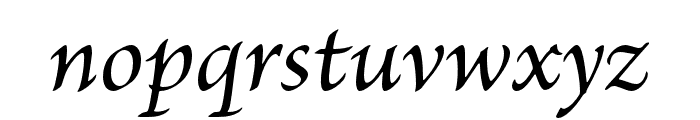 Brioso Pro Medium Italic Font LOWERCASE