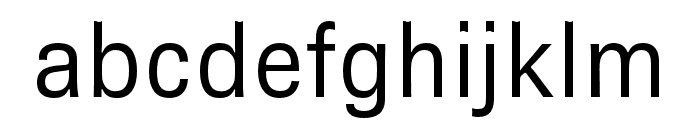 Brown Pro Regular Font LOWERCASE