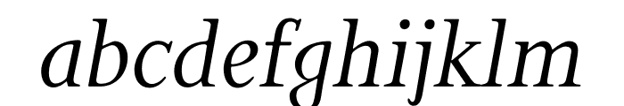 Bunyan Pro Italic Font LOWERCASE