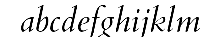 Cardo Italic Font LOWERCASE