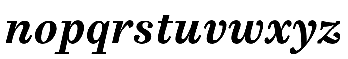 Casus Pro Bold Italic Font LOWERCASE