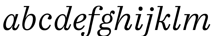 Casus Pro Light Italic Font LOWERCASE