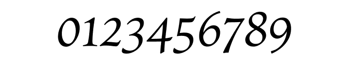 Census VF Italic 3 Standard Font OTHER CHARS