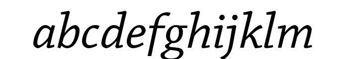 Chaparral Pro Italic Subhead Font LOWERCASE