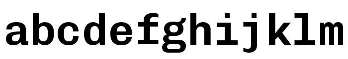 Chivo Mono Semibold Font LOWERCASE