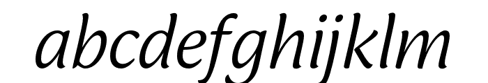 Ciabatta Light Italic Font LOWERCASE