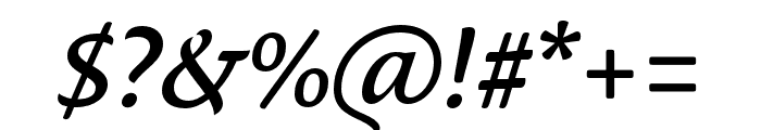 Ciabatta Regular Italic Font OTHER CHARS