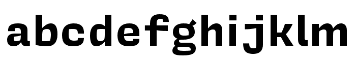 Covik Sans Mono Bold Font LOWERCASE