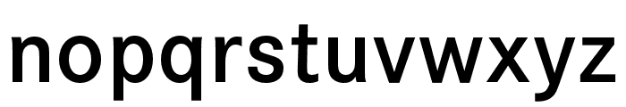 DNP ShueiGoKinStd B Font LOWERCASE