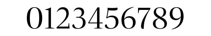Dashiell Fine Light Font OTHER CHARS