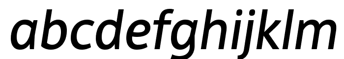 DejaRip Medium Italic Font LOWERCASE