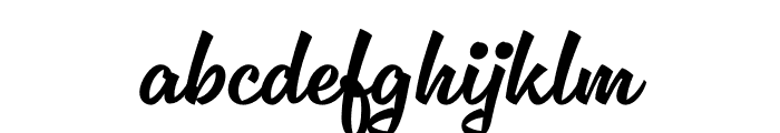 Delfina Script Regular Font LOWERCASE