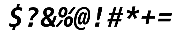 Dico Mono Bold Italic Font OTHER CHARS