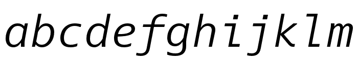 Dico Mono Italic Font LOWERCASE