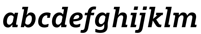Dico Slab Bold Italic Font LOWERCASE