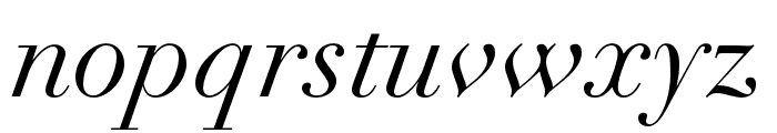 Didot LT Pro Italic Font LOWERCASE