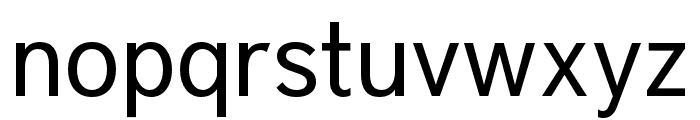 District Pro Book Font LOWERCASE