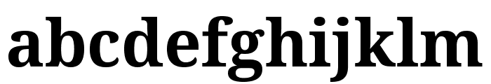 Droid Serif Bold Font LOWERCASE