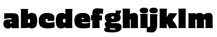 Dunkel Sans Variable.har Regular Font LOWERCASE