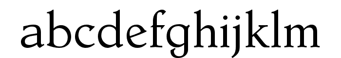 Dutch Mediaeval Pro Regular Font LOWERCASE