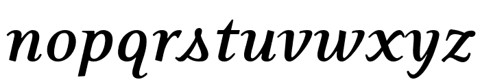 Eidetic Neo OT Bold Italic Font LOWERCASE
