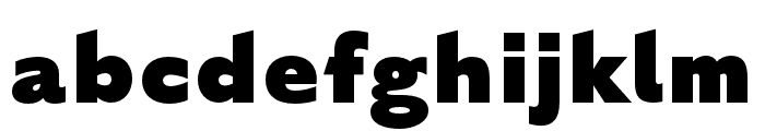 English Grotesque Black Font LOWERCASE