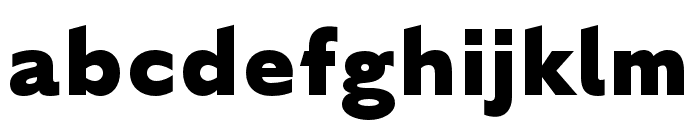 English Grotesque Extra Bold Font LOWERCASE
