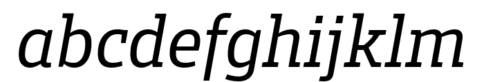 Enra Slab Variable Italic Font LOWERCASE