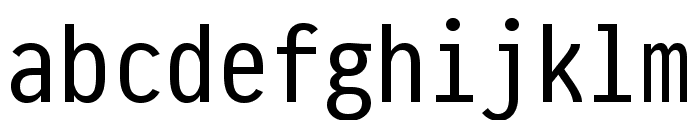 Essential PragmataPro Regular Font LOWERCASE