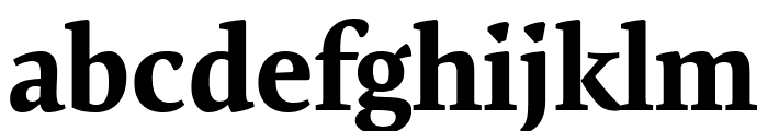 Expo Serif Pro Bold Font LOWERCASE