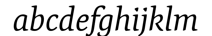 Expo Serif Pro Italic Font LOWERCASE