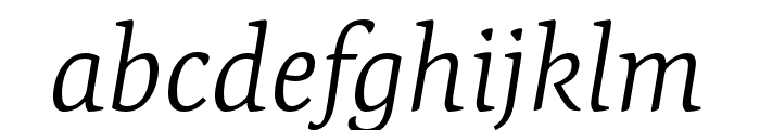 Expo Serif Pro Light Italic Font LOWERCASE