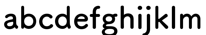 FOT TsukuARdGothic Std B Font LOWERCASE