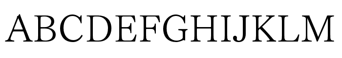 FOT TsukuMin Pr6N L Font UPPERCASE