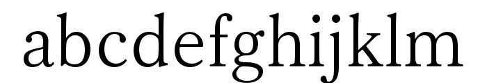 FOT TsukuMin Pr6N L Font LOWERCASE