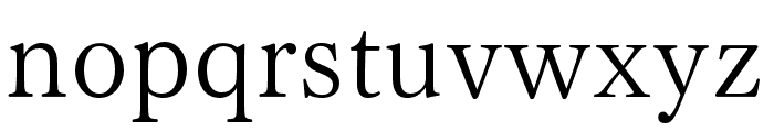 FOT TsukuMin Pr6N L Font LOWERCASE