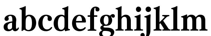 FOT UDMincho Pr6N B Font LOWERCASE