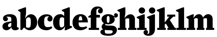 Farnham Display Black Font LOWERCASE