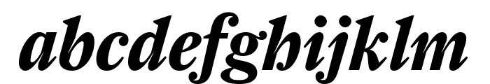 Farnham Display Bold Italic Font LOWERCASE